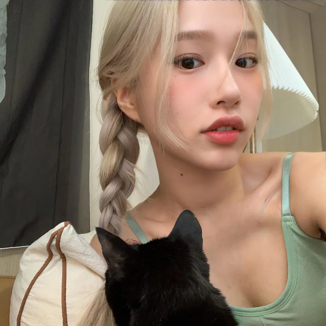 施密特的猫